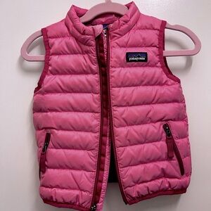 Patagonia Down Sweater Vest